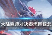 《长安幻想十二妖将云豹打法详解》（探索云豹弱点）