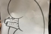 问道喊话不显示如何解决？