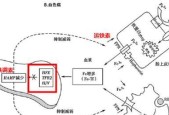 《49天生活——我的细胞培养之旅》（以游戏为主）