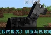 我的世界中如何引马？引马的正确步骤是什么？