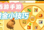 一起玩金币梦幻西游的正确玩法是什么？