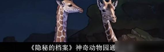 以动物之斗快速通关攻略（从零开始）  第3张