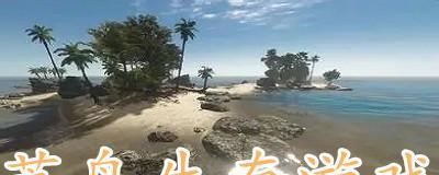 荒岛求生（从零开始）  第1张
