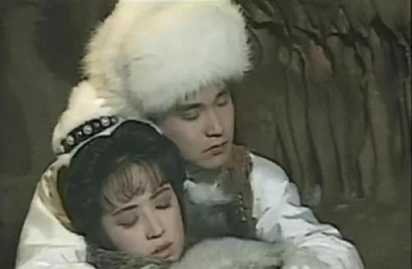 《金书群芳谱》82版飞雪程灵素线玩家攻略（解密经典游戏）  第1张