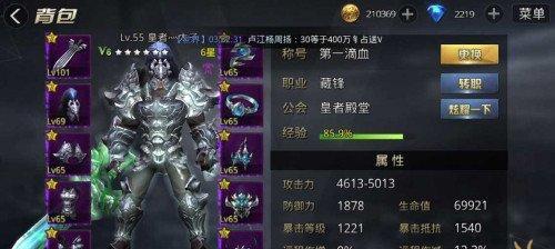 《九龙战》游戏藏锋防反技能使用方法（掌握反藏锋技巧）  第1张
