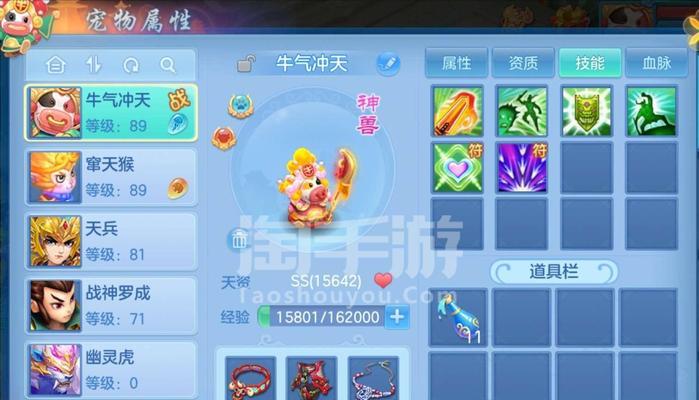 《神武》游戏宠物护符技能与宠物护符合成解析（探寻宠物护符合成的奥秘）  第1张