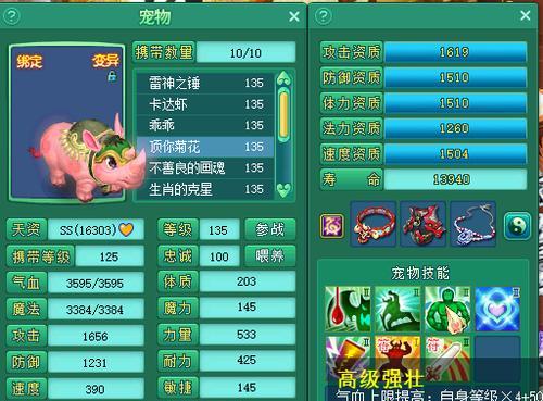 《神武》游戏中宠物技能位置宠物打书的攻略与心得（掌握技能位置）  第1张