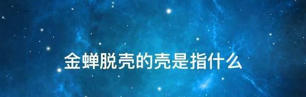 百变大侦探金蝉脱壳剧本杀攻略（金蝉脱壳攻略之游戏技巧）  第2张