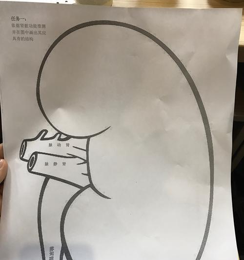 问道喊话不显示如何解决？  第1张