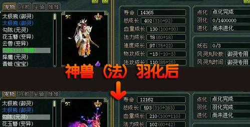 问道魔王抓宠物的方法是什么？  第3张