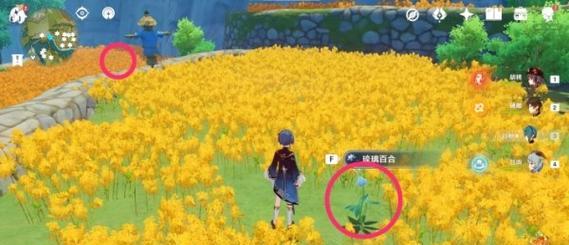 原神石像说的花田在哪里？如何找到隐藏的花田？  第3张