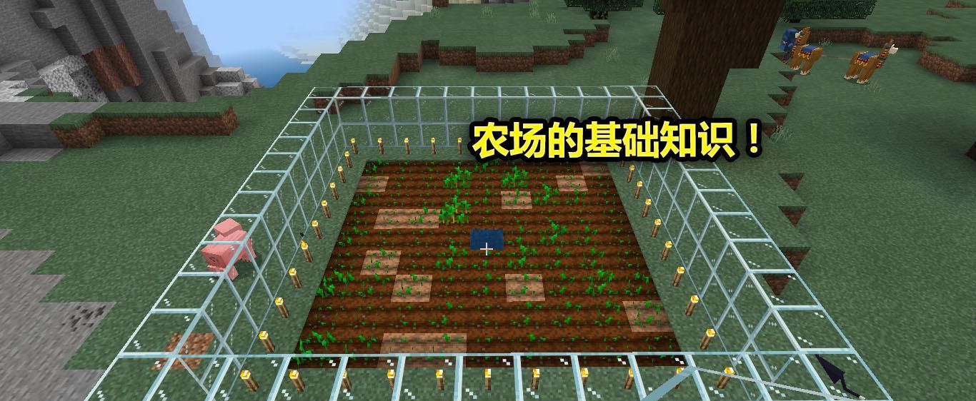 我的世界村民怎么玩？有哪些技巧可以提高村民互动？  第3张