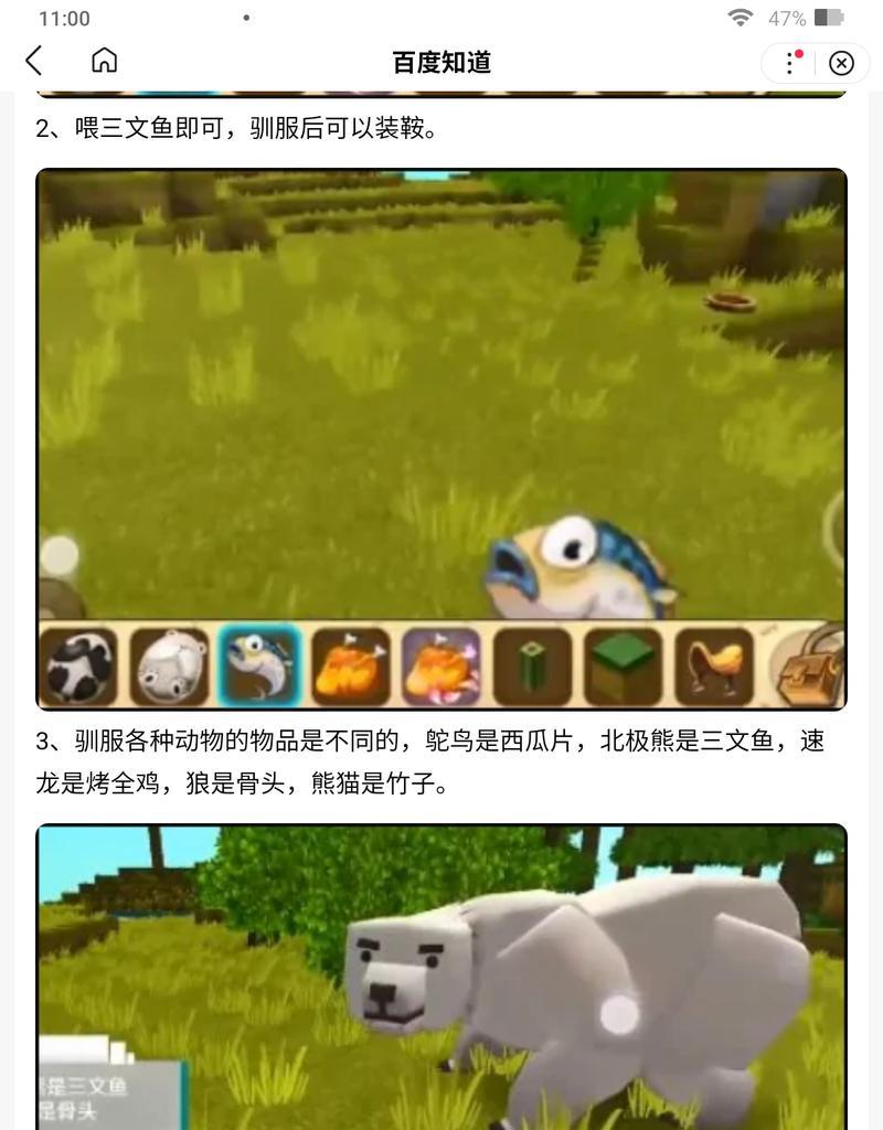 迷你世界怎么驯服鸡？驯养动物的正确方法是什么？  第1张