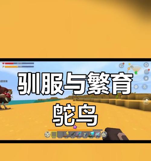 迷你世界怎么驯服鸡？驯养动物的正确方法是什么？  第2张