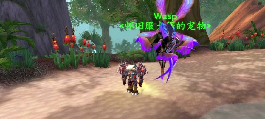 魔兽世界怎么抓宝宝？抓宝宝的步骤是什么？  第3张