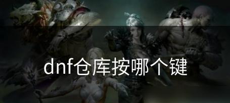 dnf仓库开启方法是什么？如何快速找到仓库位置？  第3张